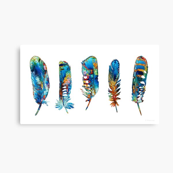 Cherokee Smudge Feathers