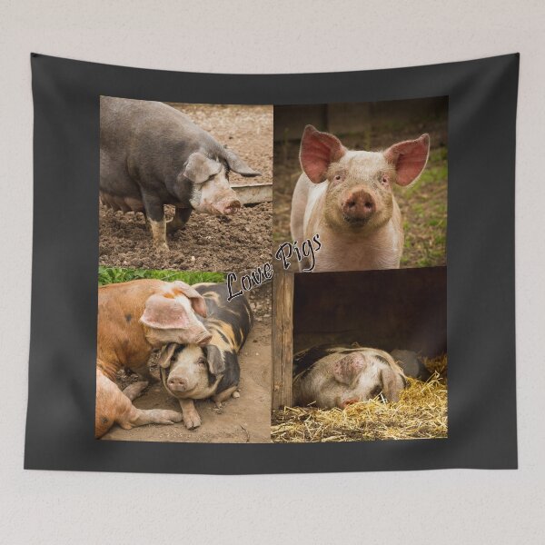 Item preview, Love Pigs designed and sold by Jane Stanley Photography.