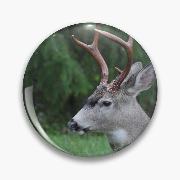 Item preview, Blacktail buck doing what comes naturally   designed and sold by RichImage.