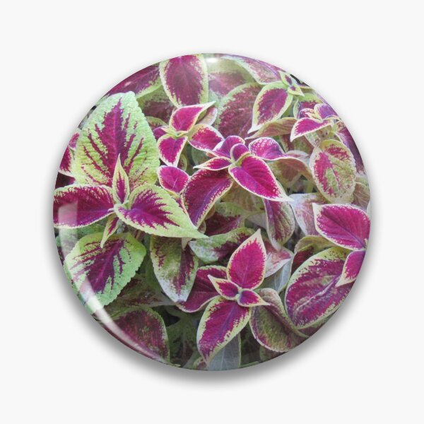 Item preview, Variegated designed and sold by SquirrelWatcher.