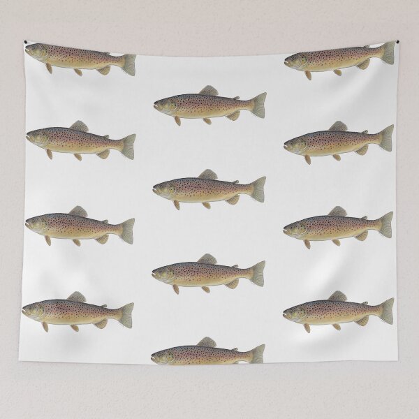 Item preview, Brown Trout (Salmo trutta) designed and sold by Tamara Clark.