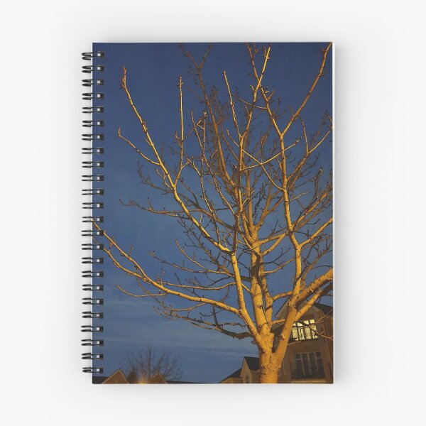 Item preview, Evening Tree designed and sold by Tim Maidment.