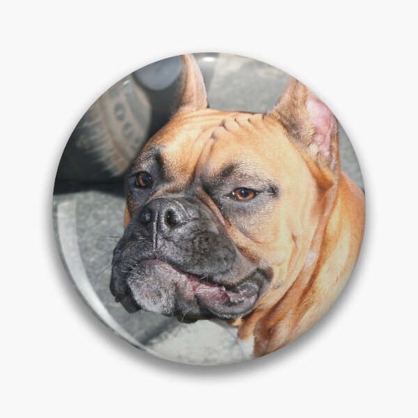 Artikelvorschau, Boxer Dog entworfen und verkauft von ritmoboxers.