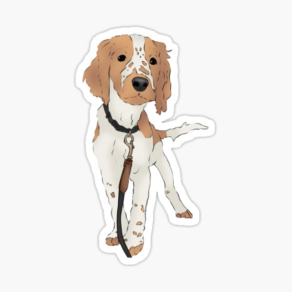 springer spaniel gift items
