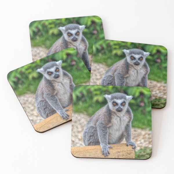 Item preview, Ring Tailed Lemur designed and sold by Dave Williams.