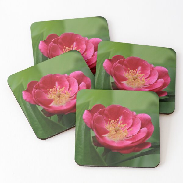Item preview, Floribunda Rose designed and sold by StampCity.