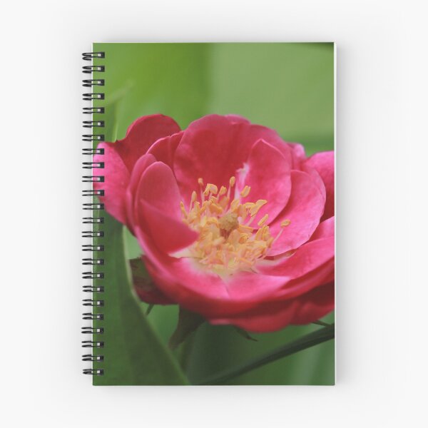 Item preview, Floribunda Rose designed and sold by StampCity.