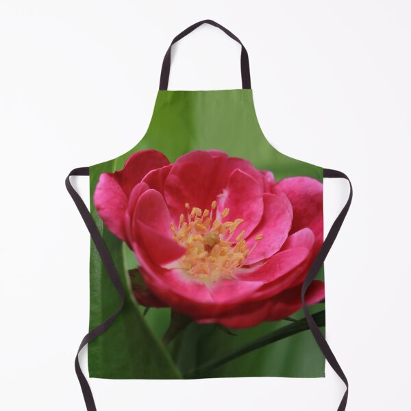 Item preview, Floribunda Rose designed and sold by StampCity.