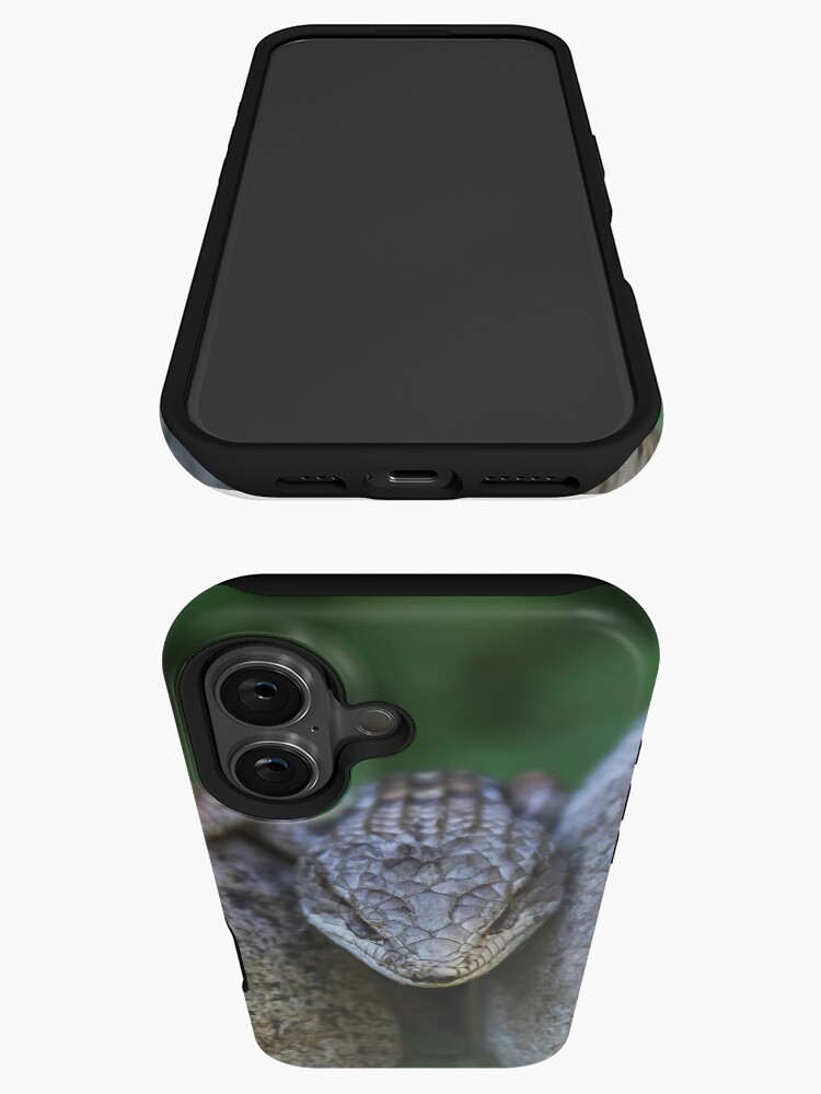 Thumbnail 3 von 4, iPhone-Hülle, wo ich lebe. Meine Katze Suki bringt oft eine von der hinteren Terrasse herein designt und verkauft von heatherfriedman.