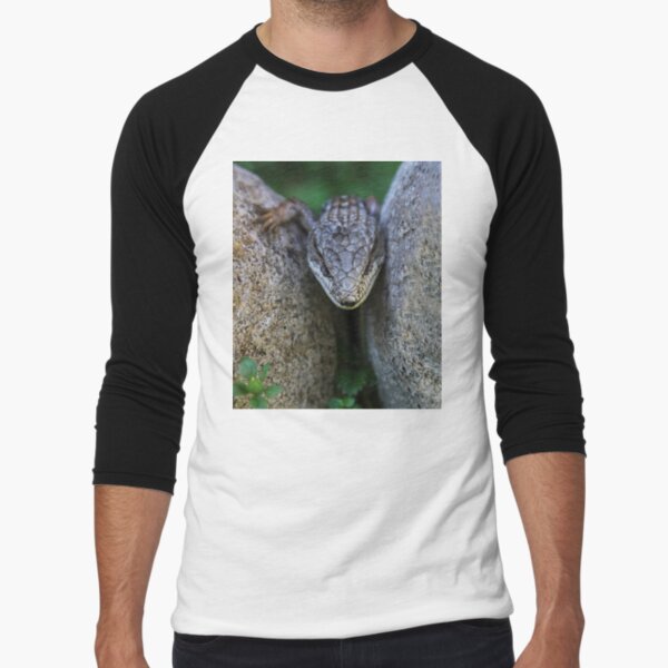 Baseballshirt mit 3/4-Arm