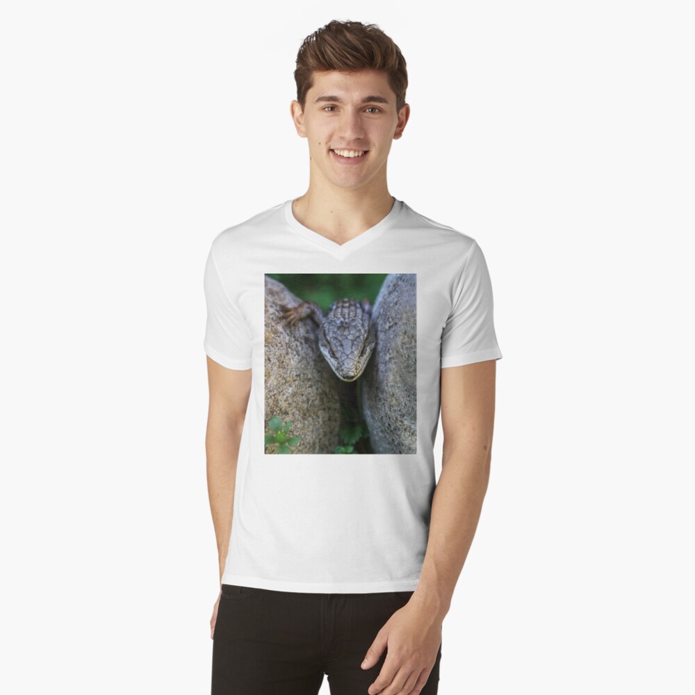 Artikel-Vorschau von T-Shirt mit V-Ausschnitt, designt und verkauft von heatherfriedman.