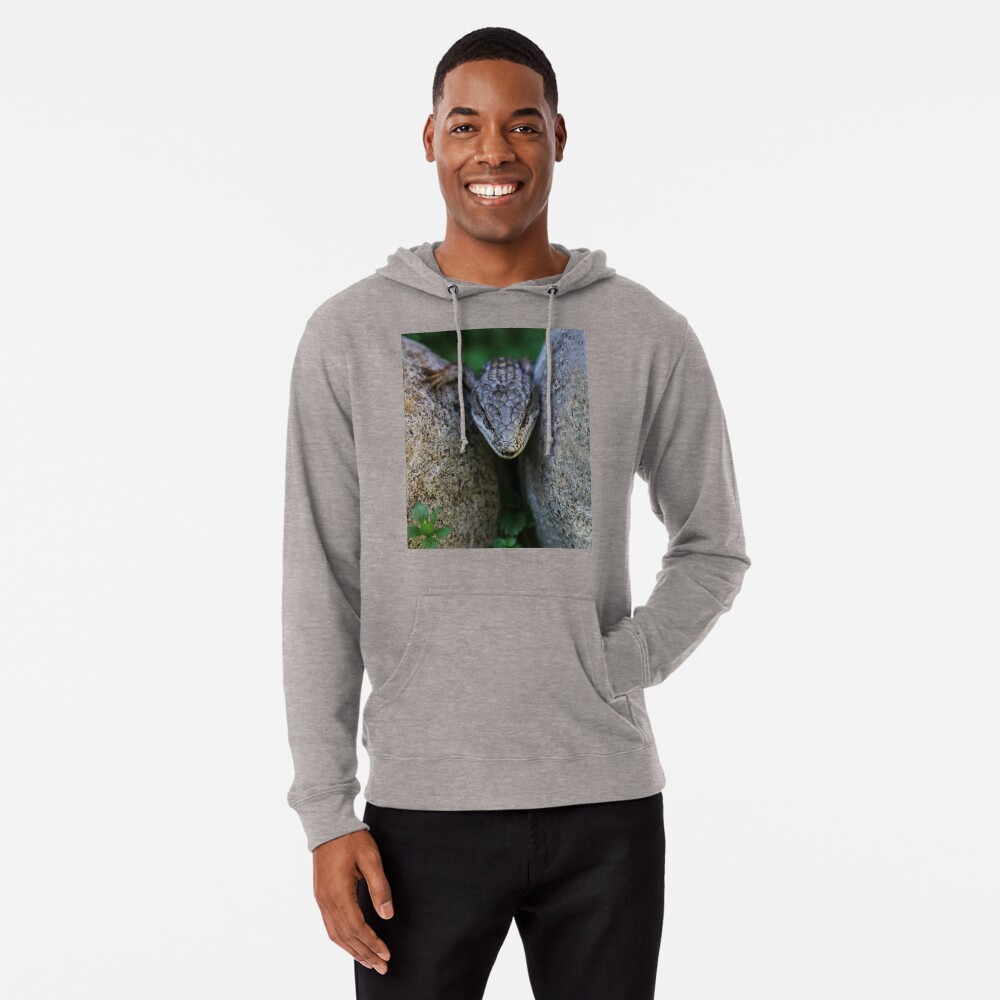 Artikel-Vorschau von Leichter Hoodie, designt und verkauft von heatherfriedman.