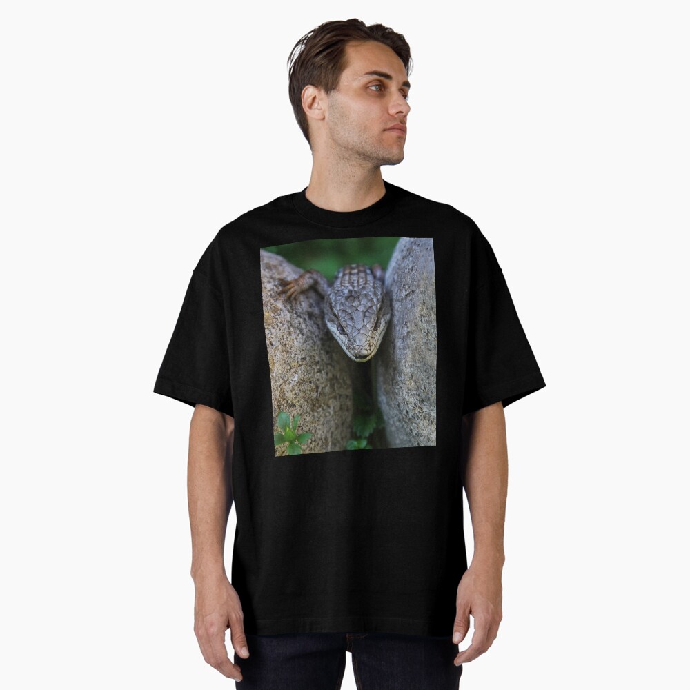 Artikel-Vorschau von Oversized T-Shirt, designt und verkauft von heatherfriedman.