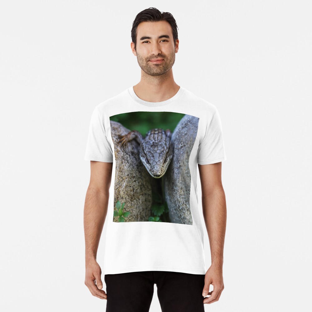 Artikel-Vorschau von Premium T-Shirt, designt und verkauft von heatherfriedman.