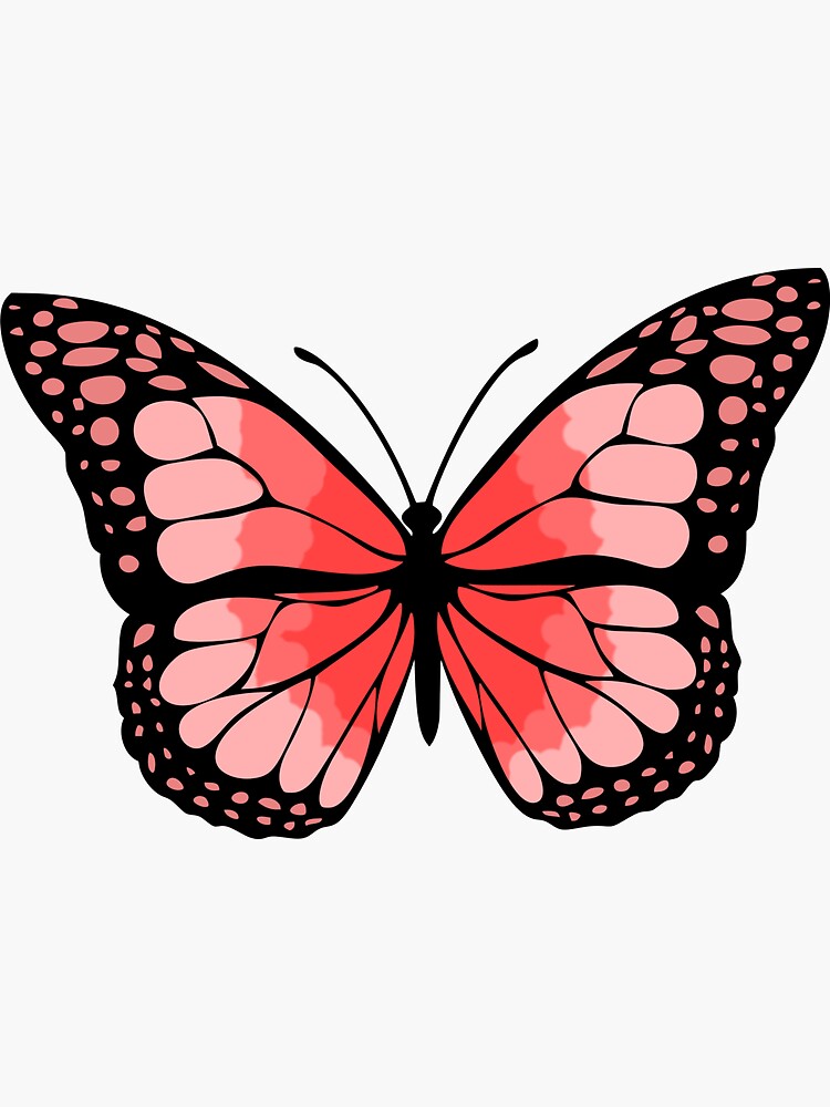 "pink butterfly sticker" Sticker for Sale by erinomalley06 Redbubble