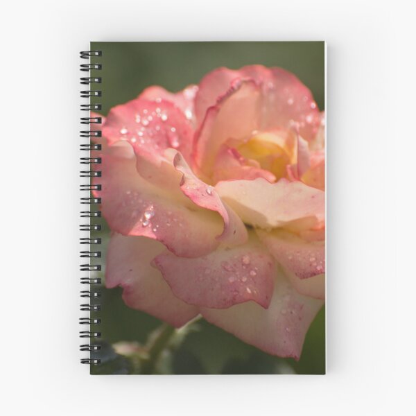 Item preview, Raindrops on a Rose designed and sold by TinyCameraNinja.