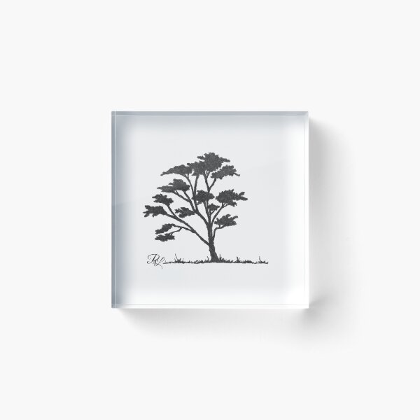 Tamarind Tree Acrylic Block