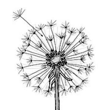 Artwork thumbnail, dandelion by agursahaney