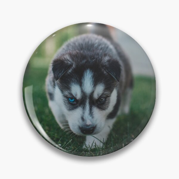 Item preview, Just a little husky designed and sold by DTEH.