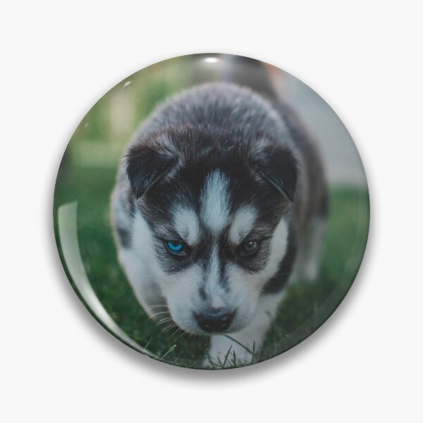 Item preview, Out of my way husky designed and sold by DTEH.