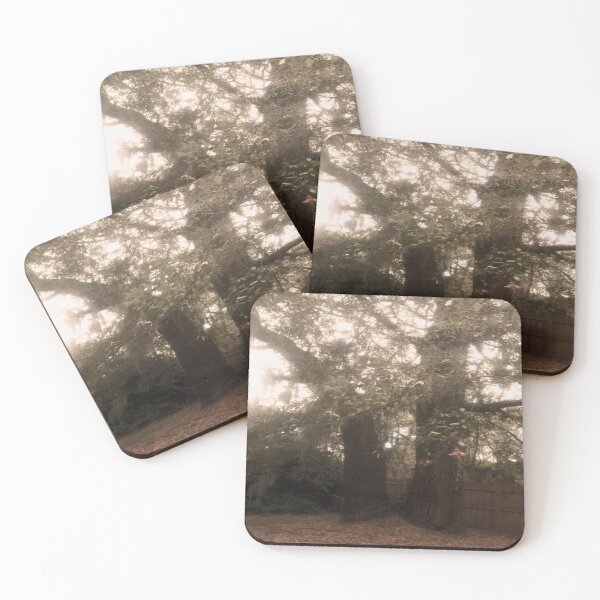 Item preview, Dark trees photography  designed and sold by gloriasd14.