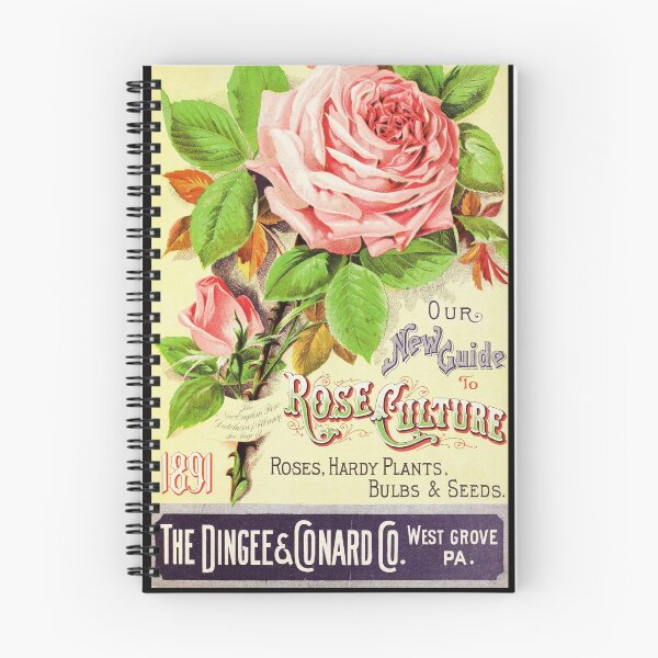 Item preview, Antique Pink Rose Seed Catalog Print designed and sold by FlowerSupply.