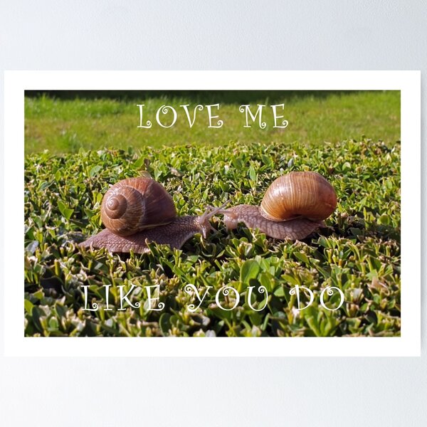 Two snails in love with red hearts png download - 4052*3564 - Free