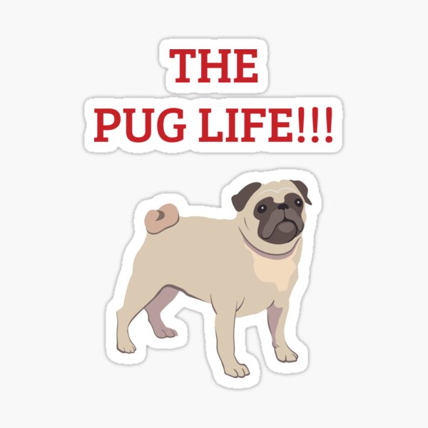 Pug Quote Stickers Redbubble - roblox decal id pug