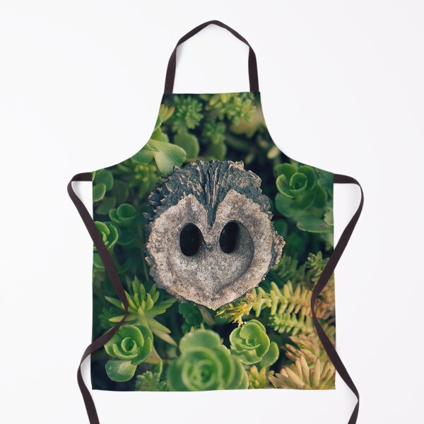 Item preview, Owl, Walnut, and Succelent designed and sold by Mass Monumentalist.