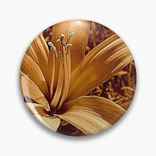Item preview, Conventional designed and sold by Jean Gregory Evans.
