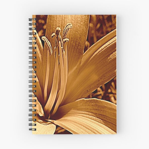 Item preview, Conventional designed and sold by Jean Gregory Evans.