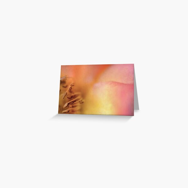 Dreamers Never Die Greeting Card