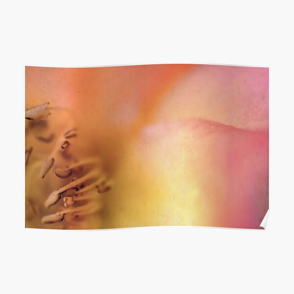 Dreamers Never Die Poster