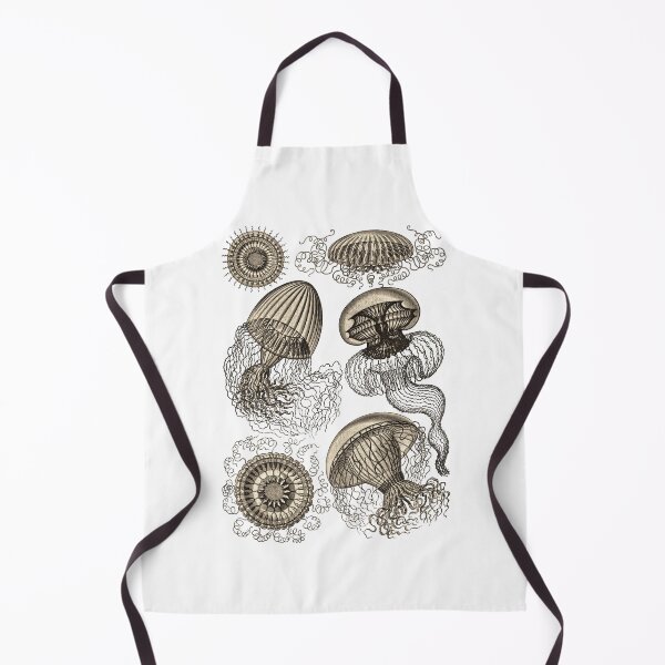Item preview, Ernst Haeckel Jellyfish Leptomedusae Wenge designed and sold by aimeewilson.