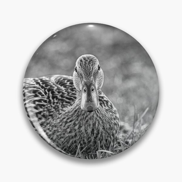 Item preview, Female Mallard Duck Black And White designed and sold by Sharon McConnell.