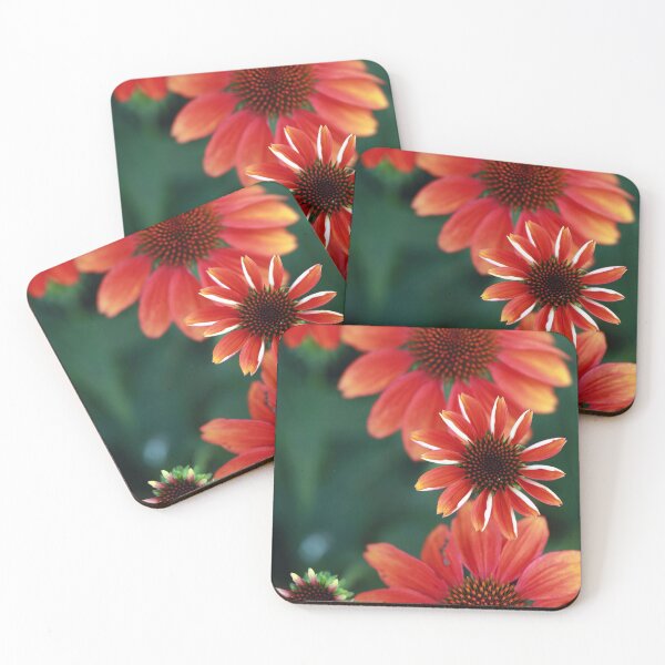 Item preview, Stages of the Coneflower designed and sold by StampCity.