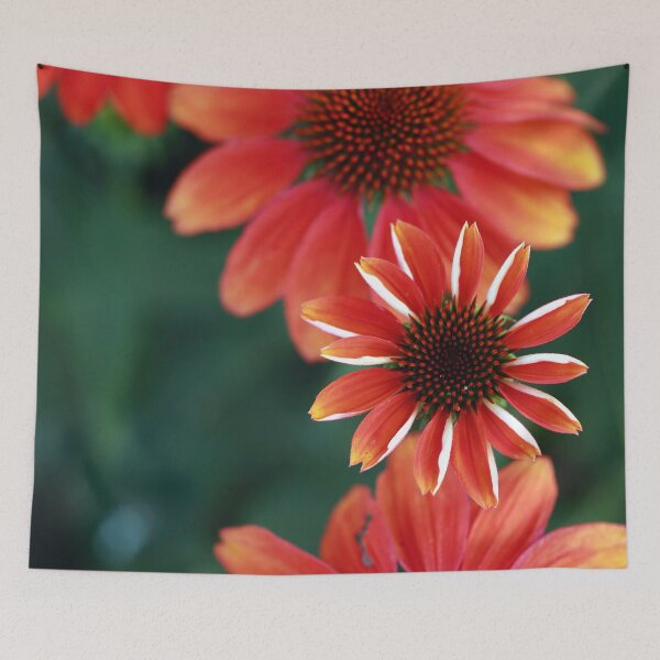 Item preview, Stages of the Coneflower designed and sold by StampCity.