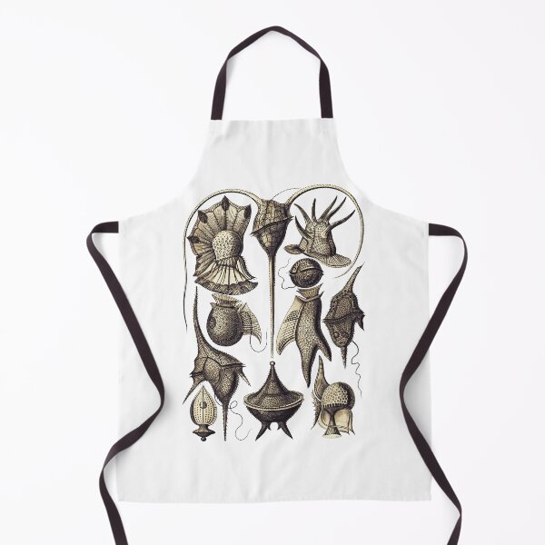 Item preview, Ernst Haeckel Peridinea Plankton Coffee designed and sold by aimeewilson.