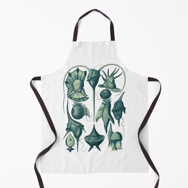 Item preview, Ernst Haeckel Peridinea Plankton Teal designed and sold by aimeewilson.