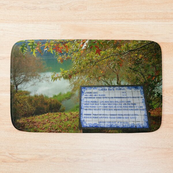 Item preview, Lake and azulejo tiles designed and sold by Gaspar Avila.