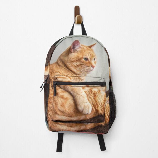 Item preview, Is it Caturday yet? designed and sold by Maria Gonzalez.