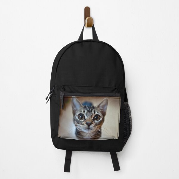 Item preview, Coco The Kitten designed and sold by LncolnsUndrwatr.