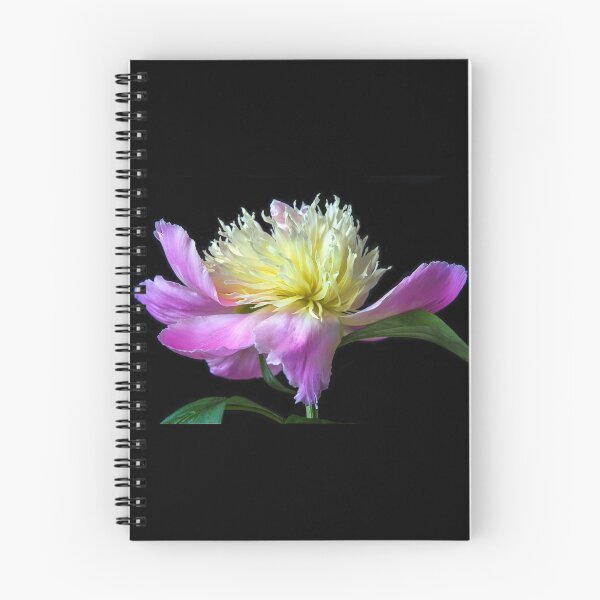 Item preview, Peony On Black designed and sold by Sharon McConnell.
