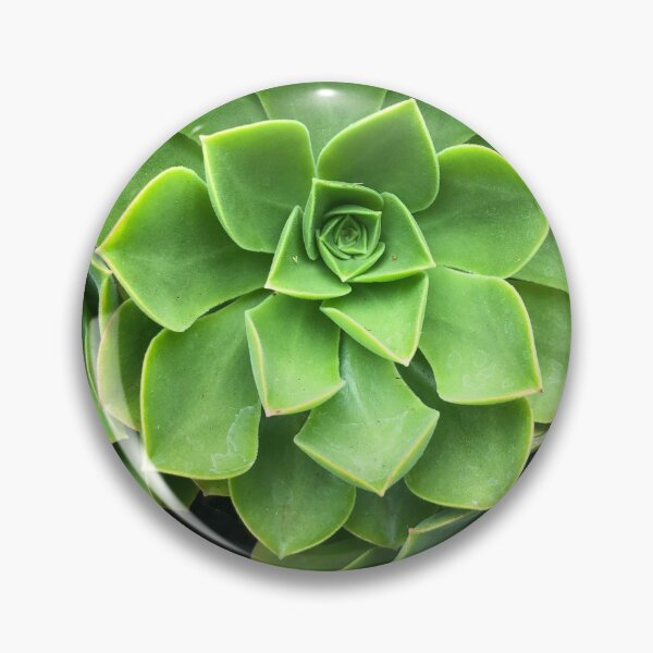 Item preview, Flower-shaped succulent plant in Southern California designed and sold by offdutyplaces.