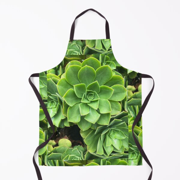 Item preview, Flower-shaped succulent plant in Southern California designed and sold by offdutyplaces.