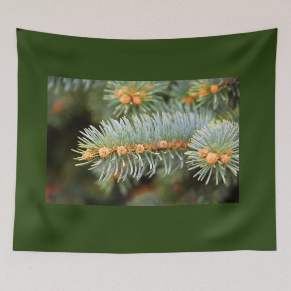 Aperçu de l'œuvre Winter Pine créée et vendue par Sharon McConnell.