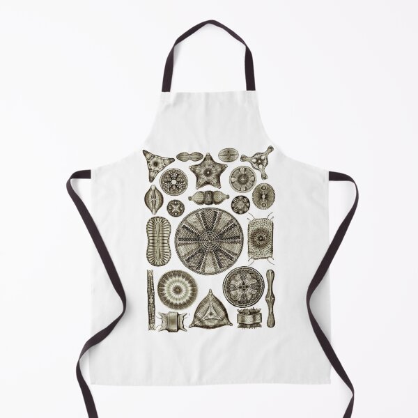 Item preview, Ernst Haeckel Diatoms Vintage Brown designed and sold by aimeewilson.