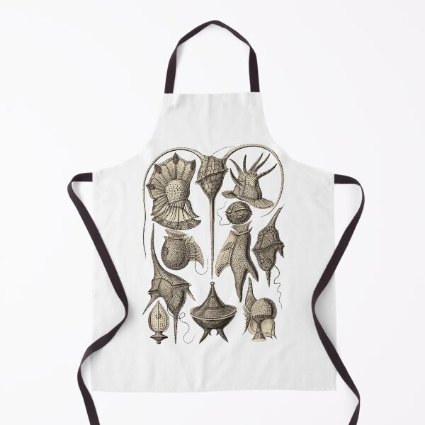 Item preview, Ernst Haeckel Peridinea Plankton Wenge designed and sold by aimeewilson.