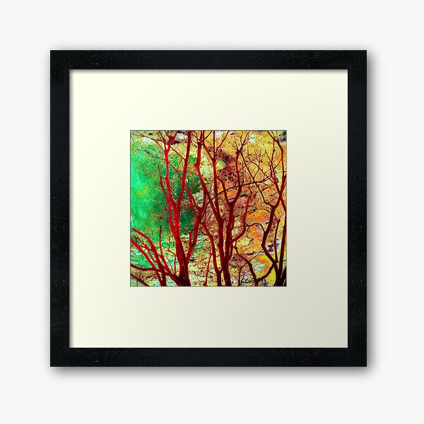 I See Faces Framed Art Print