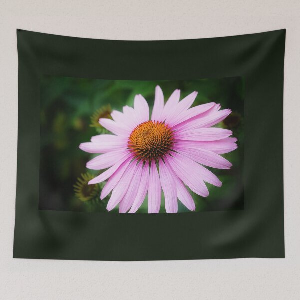 Item preview, Front and Center! designed and sold by Sharon McConnell.